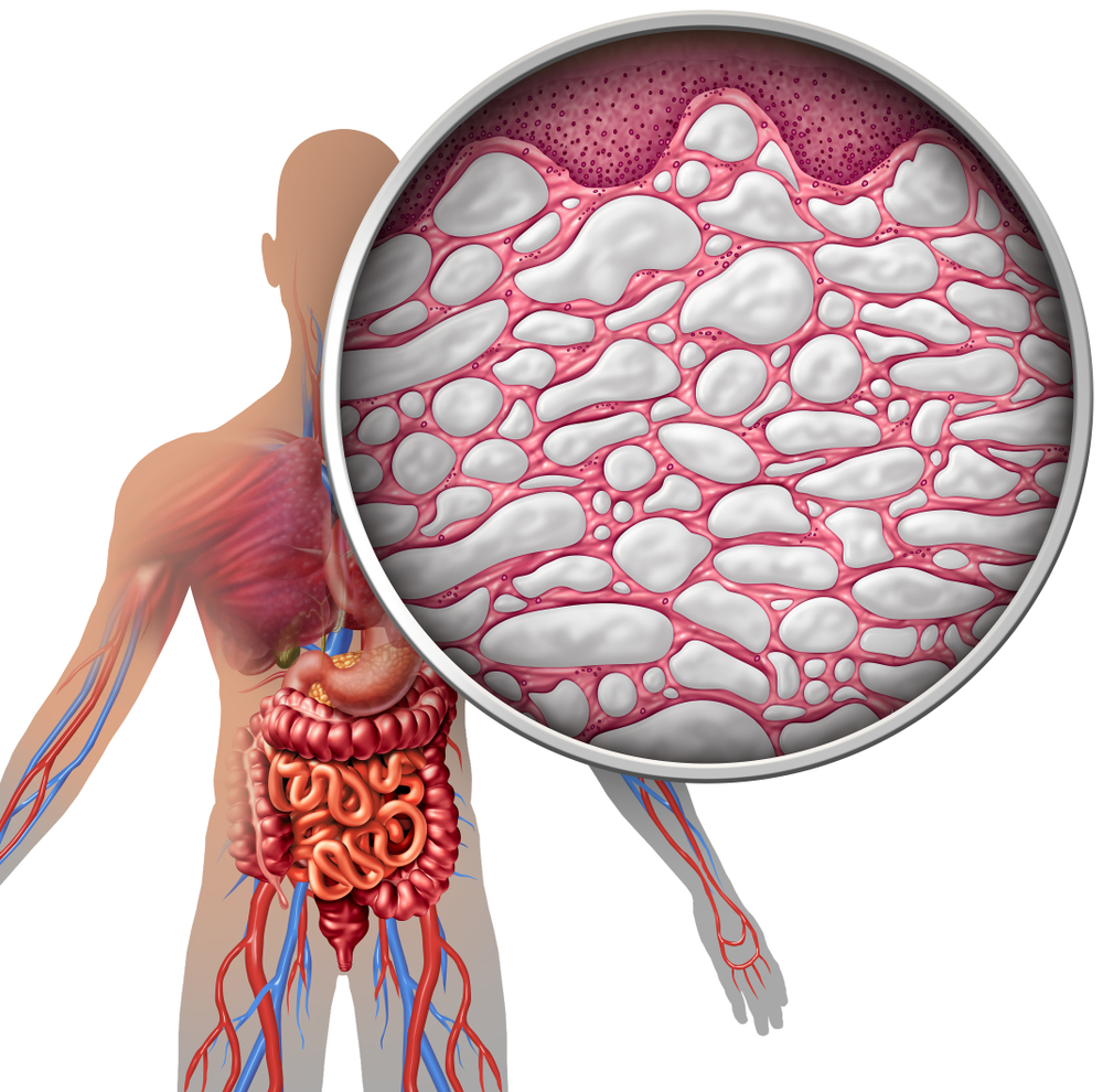 human fascia, interstitium, myofascial bands, fascial release