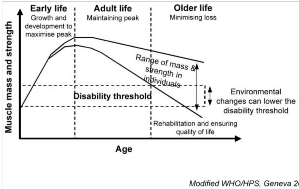 graph of muscle loss with age