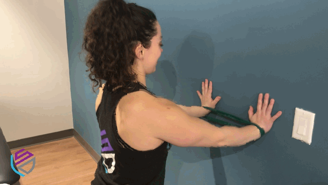 Shoulder strengthening, shoulder stability exercise