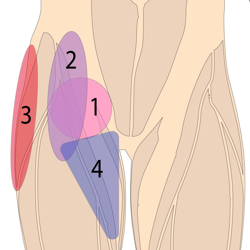 Glutes sore best sale from squats