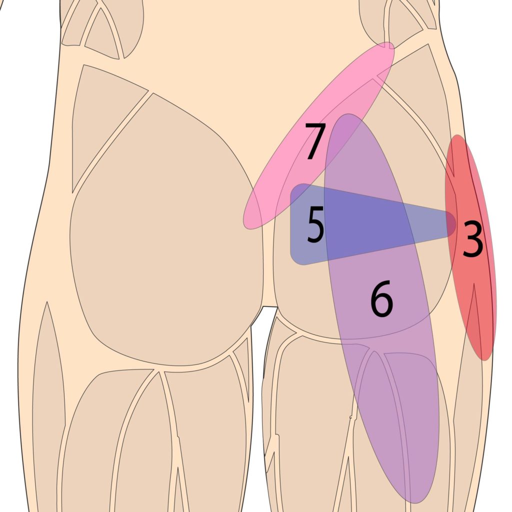 Three Reasons Why Your Squat May Be Causing Hip Pain, And How To