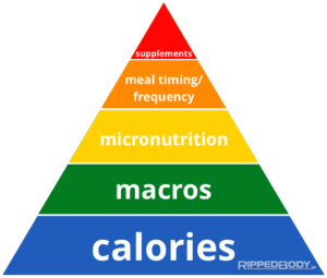Nutrition Basics